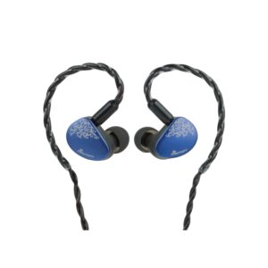 Kiwi Ears Cadenza II IEM 10mm with KARS 2.0 P Construction Hifi Earphones TypeC with Mic