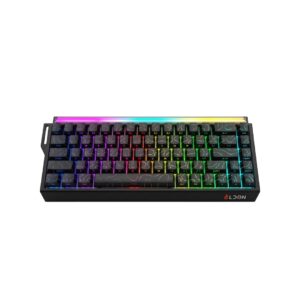 Ldon Mide 68 Pro HE Magnetic Gaming Keyboard Hall Effect Magnetic Switch, Fast Trigger Mode Adjustable Actuation, 8000Hz Polling Rate, RGB Backlit, Wired Black